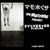 the mustang project-sylvester staline-retch
